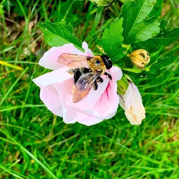 Meet your Posher, Jessica - Picture 1 of 1